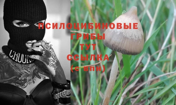 прущий лед Белокуриха