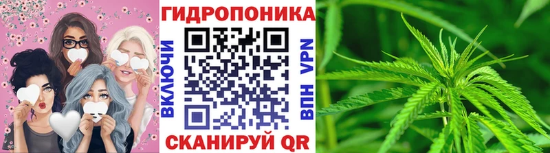 Шишки марихуана THC 21%  кракен ссылки  Ленинградская  где продают  